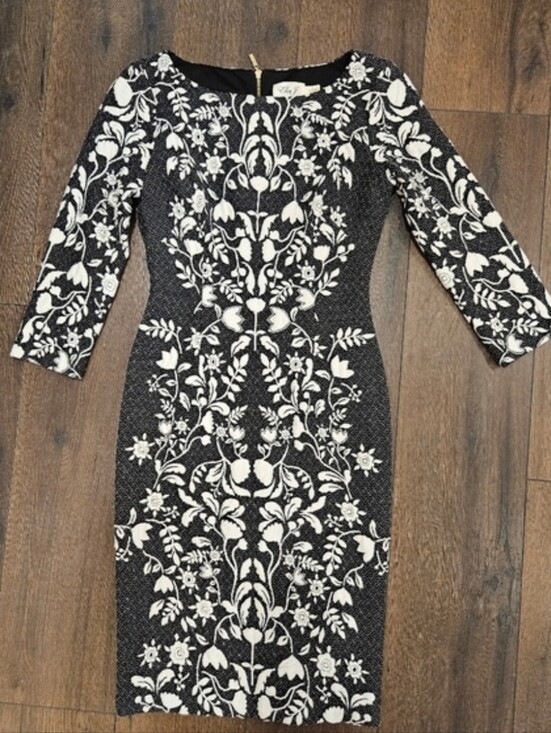 Eliza J Dresses & Skirts - Eliza J Embroidered Black and White Floral Dress - Size 2